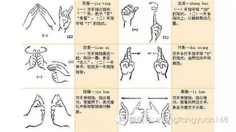 图解中国手语一看就懂的通用手语适合大家看手语书聋哑人阅读书籍-阿里巴巴