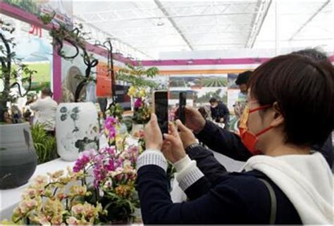 第二届广西花卉苗木交易会在桂林开幕 - 产业 - 中国网•东海资讯
