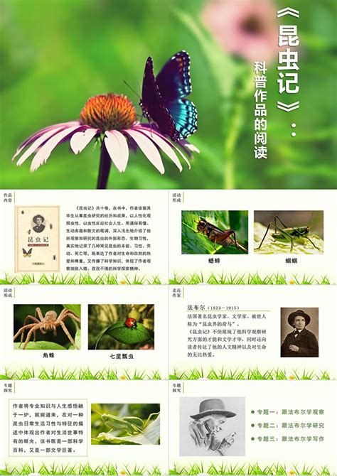 昆虫记名著导读重庆版