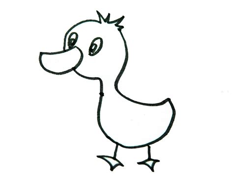 鸭子的外貌特征,鸭子的外貌描写100字,鸭子外貌描写(第2页)_大山谷图库