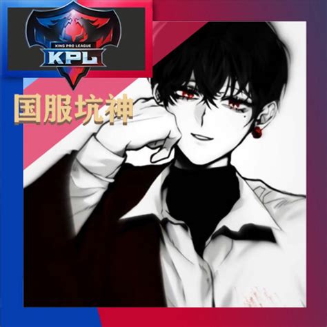 王者职业非主流头像