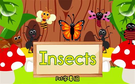 昆虫英语儿歌 辨认昆虫儿歌 Insect Song_哔哩哔哩_bilibili