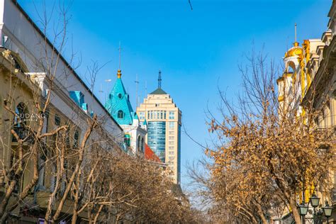 2022来哈尔滨必须要逛逛中央大街的说这是哈尔滨最著名的也是全国比较知名的步行街整条街两旁都是俄式..._中央大街-评论-去哪儿攻略