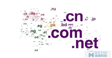网建知识：解读域名（作用、分类、选择、注册、解析）_米可网络