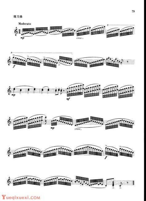 音乐课堂：第十一讲——半音阶