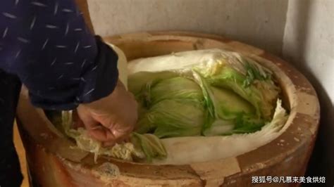 腌酸菜不烂的诀窍，正宗东北农村大缸渍酸菜的方法，玻璃瓶也可以7天就能吃了_白菜