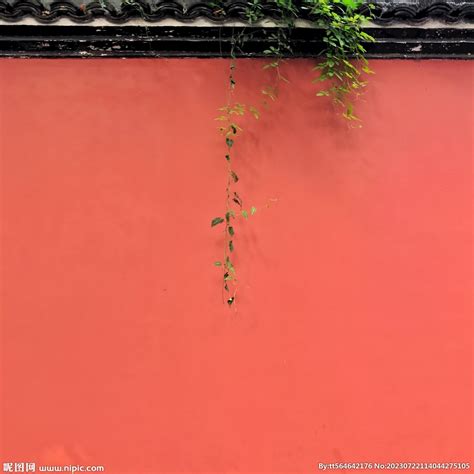 红墙外图片