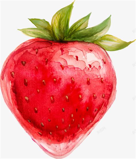 卡通手绘红色的草莓png图片免费下载-素材7zNkePqjU-新图网