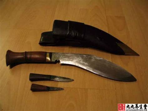世界十大最帅匕首，第一把被称为全球最差的刺刀之一-军事-优推目录