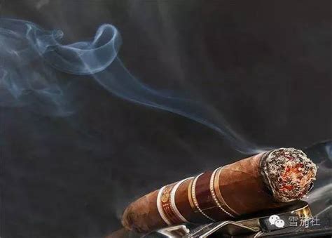 三款古巴雪茄入选2020Top 25榜单 16年来有古巴雪茄排名第一吗？_玻利瓦尔