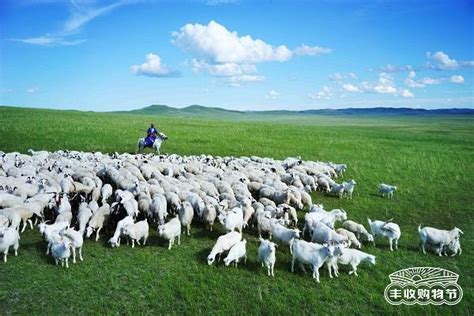 羊大为美，东西方世界的羊文化_山羊