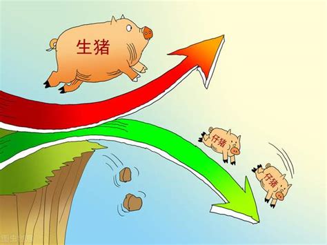 猪贩子：8月猪价能否“起飞”，不看消费，看这三点！哪三点？__财经头条