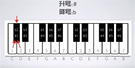 钢琴键盘高清图片下载_红动中国