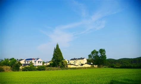 京山县230万元重奖二季度美丽宜居乡村建设优胜单位