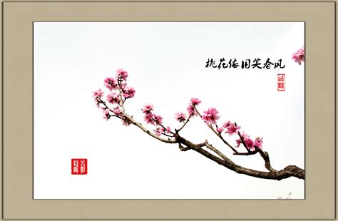 【桃花依旧笑春风摄影图片】杭州生态摄影_东 风 影 像 视 界_太平洋电脑网摄影部落
