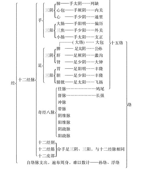 人体穴道 - 快懂百科