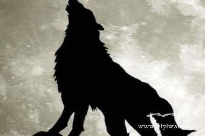 十大神狼的名字,神话中的狼神叫什么名字 - 悠易生活