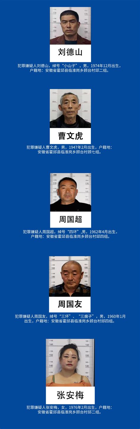 六安警方再次公开征集顾胜宝等人违法犯罪线索凤凰网安徽_凤凰网