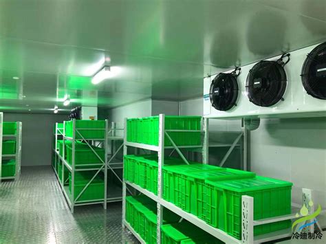 冷库制冷压缩机一体机组3P5P冷藏冷冻设备制冷机组调节安装厂家-阿里巴巴