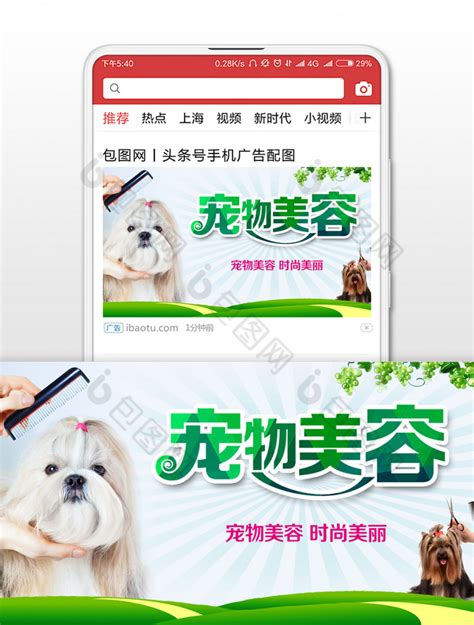宠物洗护微信公众号推文长图排版设计_阿糖25-站酷ZCOOL