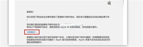 苹果个人开发者账号申请流程(2021最新注册苹果IOS个人开发者账号流程)_斜杠青年工作室