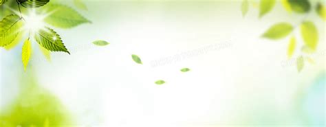 清新盆栽图片-清新盆栽图片大全-ZOL桌面壁纸
