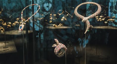 灵蛇传奇|十二生肖中的蛇 - 成都博物馆