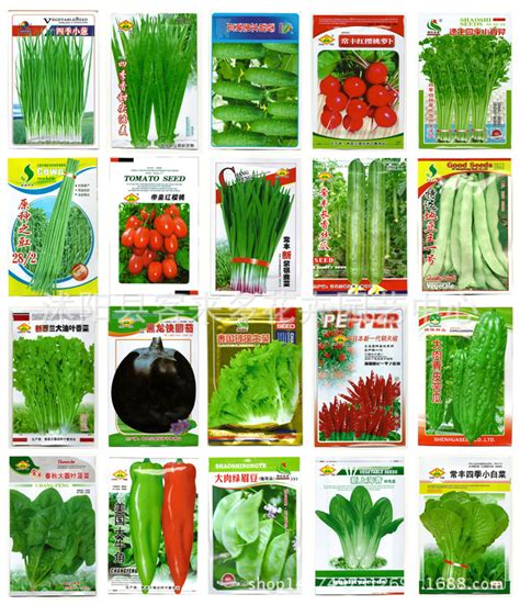60种蔬菜图片