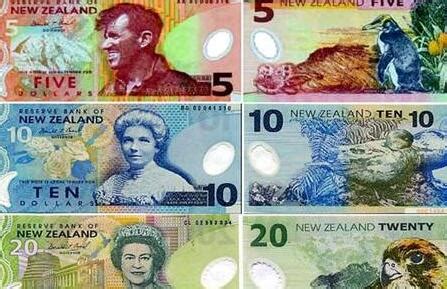 新西兰央行维持利率不变 新西兰元曾见19个月新高