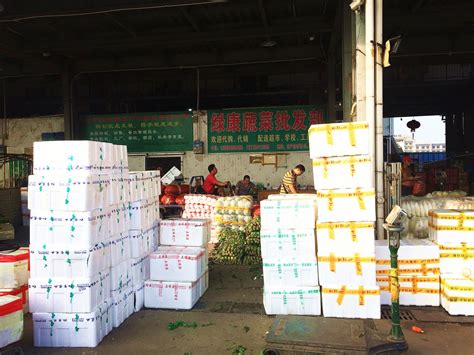 农商新星 | 8个档口，20多个品种，惠州蔬菜批发商怎样做到日销120余吨？-摄食度℃-大白菜(www.dbc61.com)