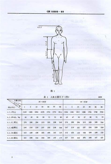 人体比例标准图图片