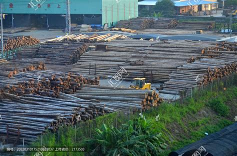 日照木材加工厂 大型木材市场 木方批发 厂家直销