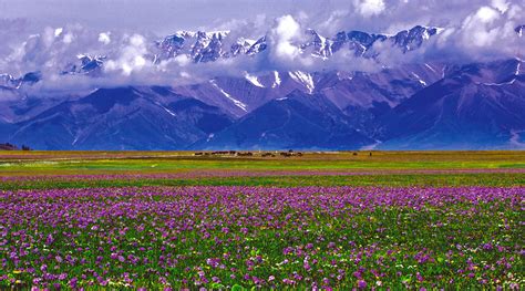 新疆旅游必去的十大景点-新疆最美景点推荐-天山风情网