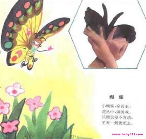 儿童手影：蝴蝶手影做法教程 - 幼儿园手影