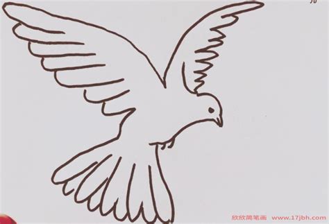 洁白又聪明的小鸽子简笔画绘制教程 简单又好看的鸽子简笔画怎么画-露西学画画