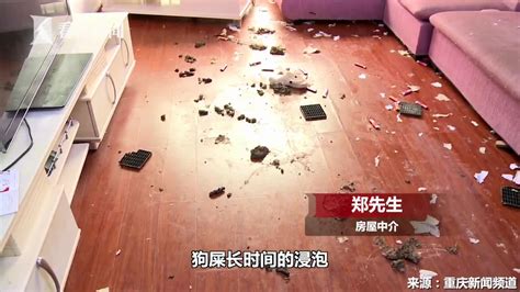 20岁女生欠租后失联留满屋垃圾 房东看后哭笑不得_手机新浪网