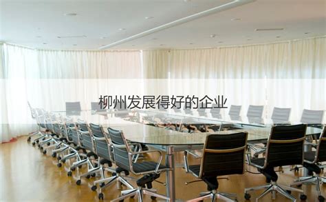 广西柳州100强企业排名 柳州发展得好的企业【桂聘】