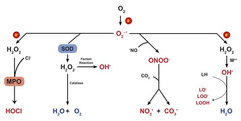 短程反硝化耦合厌氧氨氧化强化脱氮工艺研究与应用进展