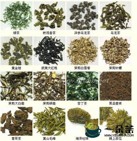红茶是一种保健茶- 中国风