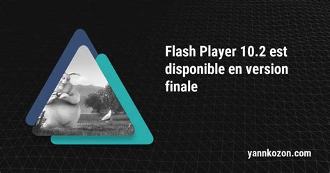 Flash Player 10.2 est disponible en version finale - Yann Kozon
