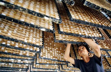 2019年中国蚕茧行业发展现状分析，广西省蚕茧产量居全国首位[图]_智研咨询