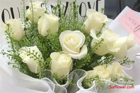 白玫瑰代表什么意思，白玫瑰适合送给什么人？-六朵花