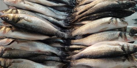 排有质感的南韩Yeosu当地鱼市场有鲜和冰上海食鲜高清图片下载-正版图片307805083-摄图网