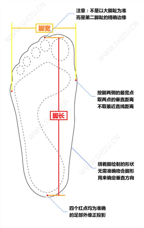 如何测量脚的尺寸尺码_皮鞋尺码对照表_鞋子尺码换算 - 尺码通