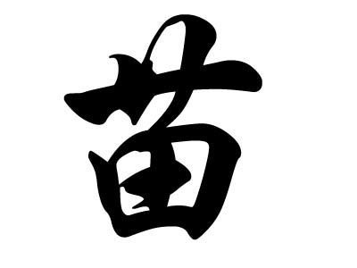 苗氏头像非主流