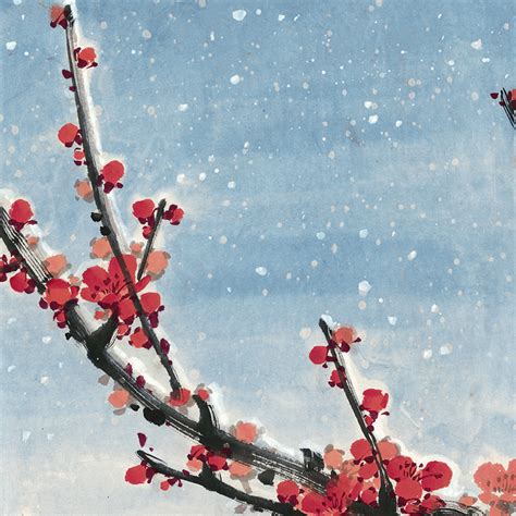 寒梅傲雪图片