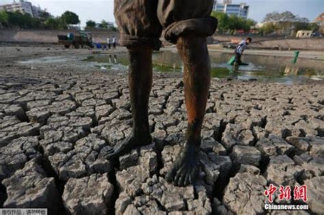 印度遭遇100年来最恐怖高温，多人被热死，鸟儿被热到坠地