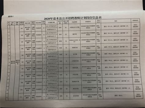 2020年嘉禾县公开招聘教师公告_公告公示_嘉禾网