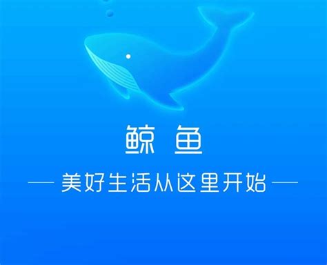 小鲸鱼识别软件下载-小鲸鱼app官方版下载v2.1.0 安卓版-2265安卓网