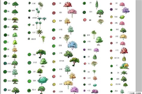 四种大型树种3D效果图3dmax素材免费下载_红动中国
